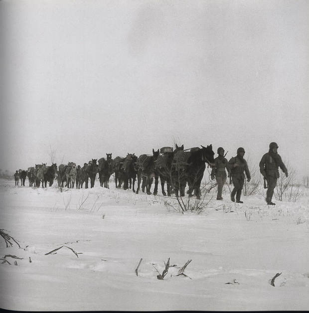 图片[2]-What was Shenyang like on the eve of liberation in 1948? A group of old photos for you-China Archive