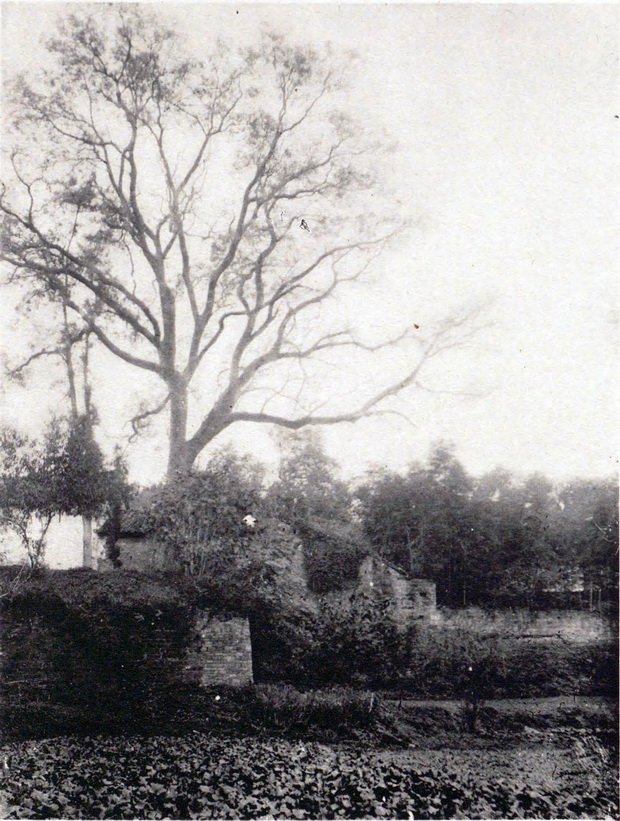 图片[14]-In the 1920s, the old photos of Dangyang in Hubei Province, Yuquan Temple, Datong Temple and Dumen Temple a hundred years ago-China Archive