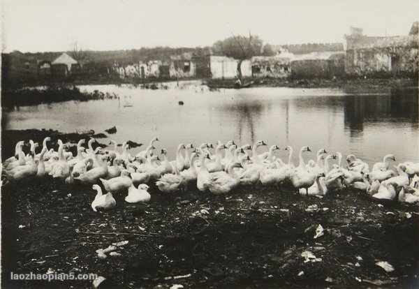 图片[3]-Old photos of Nanjing in 1938 The suffering image of Nanjing at the beginning of the Japanese occupation-China Archive