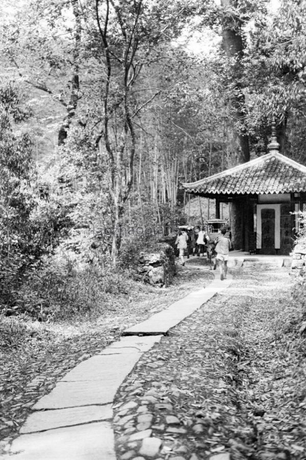 图片[8]-1930 Old photo of Hangzhou, Zhejiang The beautiful scenery of Hangzhou West Lake 90 years ago-China Archive