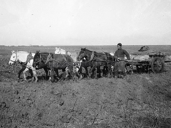 图片[4]-Old photo of Hailun County, Heilongjiang in 1932-China Archive