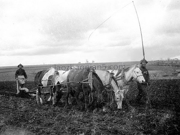 图片[8]-Old photo of Hailun County, Heilongjiang in 1932-China Archive