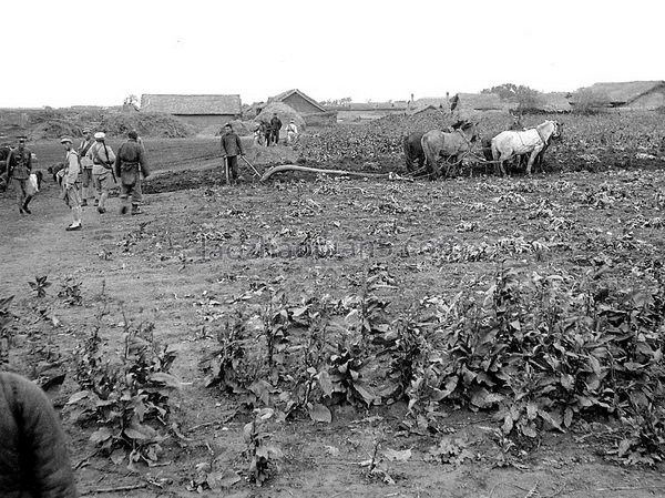 图片[3]-1932 Old photo of Dehui County, Jilin Photographer: Pendleton-China Archive