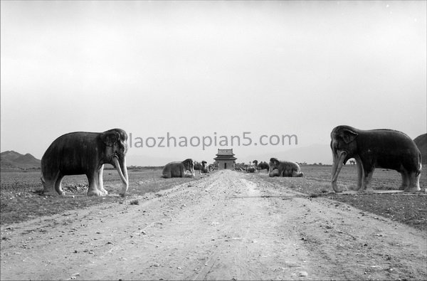 图片[8]-Old photos of the Ming Tombs in Beijing in the 1930s Images of the Ming Tombs in the Republic of China (Part 1)-China Archive