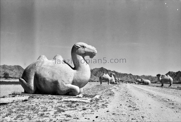 图片[14]-Old photos of the Ming Tombs in Beijing in the 1930s Images of the Ming Tombs in the Republic of China (Part 1)-China Archive