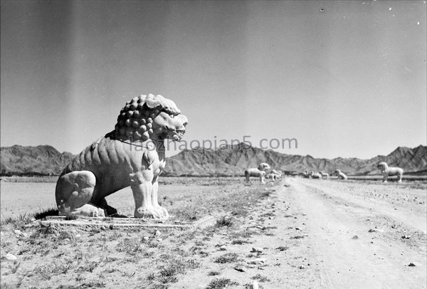 图片[13]-Old photos of the Ming Tombs in Beijing in the 1930s Images of the Ming Tombs in the Republic of China (Part 1)-China Archive