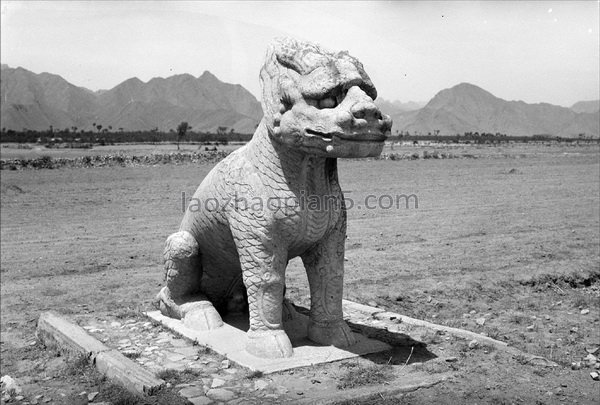 图片[16]-Old photos of the Ming Tombs in Beijing in the 1930s Images of the Ming Tombs in the Republic of China (Part 1)-China Archive