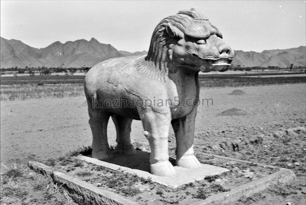 图片[18]-Old photos of the Ming Tombs in Beijing in the 1930s Images of the Ming Tombs in the Republic of China (Part 1)-China Archive