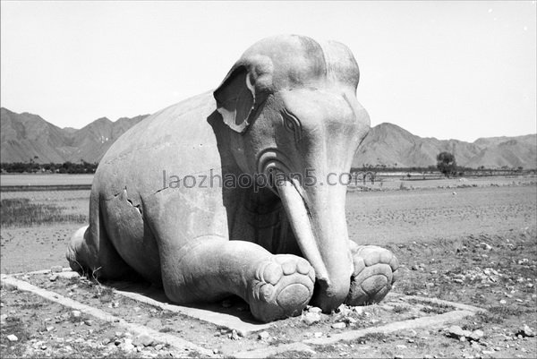 图片[17]-Old photos of the Ming Tombs in Beijing in the 1930s Images of the Ming Tombs in the Republic of China (Part 1)-China Archive