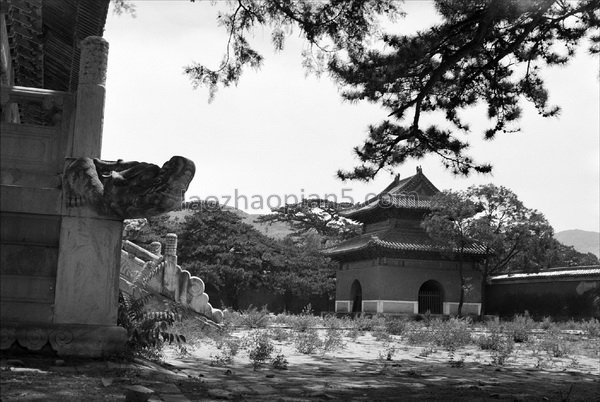 图片[8]-Old photos of the Ming Tombs in Beijing in the 1930s Images of the Ming Tombs in the Republic of China (Part 2)-China Archive