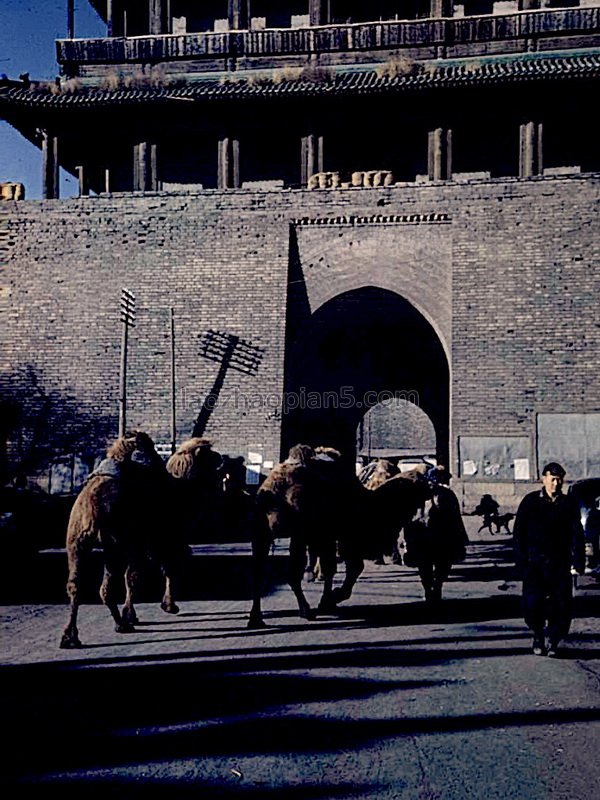 图片[6]-The old photos of Beijing in 1947, the images of famous places in Beijing in the past 70 years-China Archive