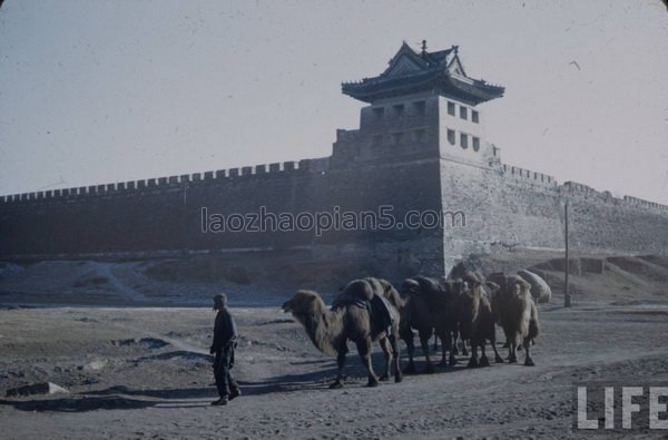 图片[7]-The old photos of Beijing in 1947, the images of famous places in Beijing in the past 70 years-China Archive