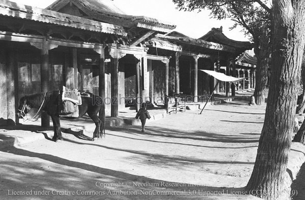 图片[2]-Needham’s Dunhuang Expedition (4) Old photos of Shandan County, Gansu-China Archive