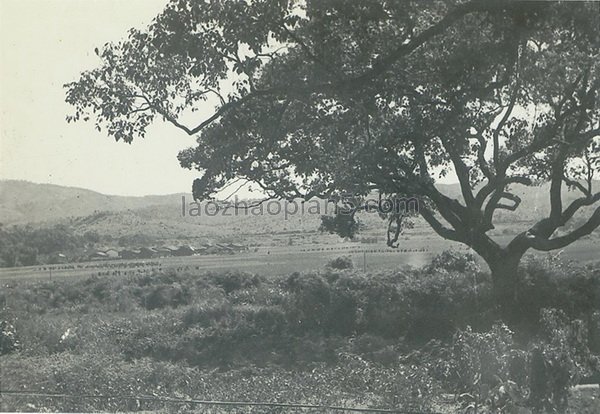 图片[9]-Old photos of Lingnan University in Qujiang County, northern Guangdong during the Anti Japanese War (Part 1)-China Archive