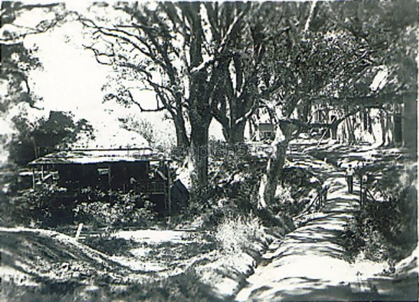 图片[4]-Old photos of Lingnan University in Qujiang County, northern Guangdong during the Anti Japanese War (Part 2)-China Archive