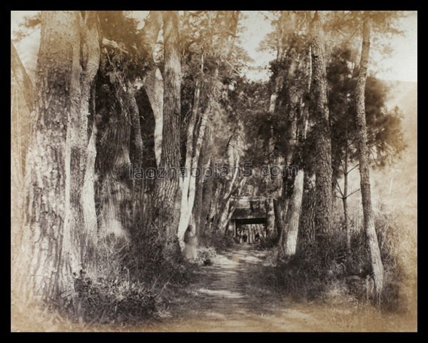 图片[10]-Old photos of Ningbo in the 1870s Scenery of Tiantong Temple 150 years ago-China Archive