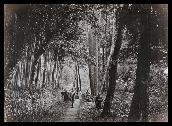 图片[11]-Old photos of Ningbo in the 1870s Scenery of Tiantong Temple 150 years ago-China Archive