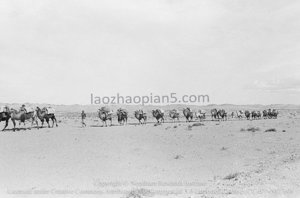 图片[1]-Needham’s Dunhuang Expedition (5) From Laojun Temple to Yumen in Gansu-China Archive