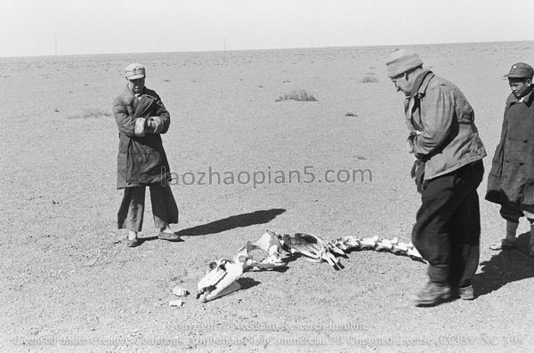 图片[4]-Needham’s Dunhuang Expedition (5) From Laojun Temple to Yumen in Gansu-China Archive