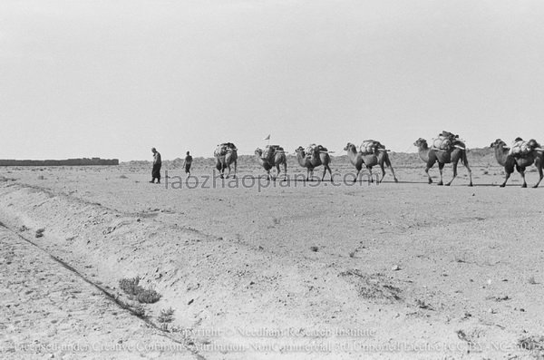 图片[2]-Needham’s Dunhuang Expedition (5) From Laojun Temple to Yumen in Gansu-China Archive