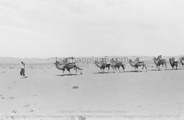 图片[3]-Needham’s Dunhuang Expedition (5) From Laojun Temple to Yumen in Gansu-China Archive