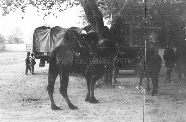 图片[14]-Needham’s expedition to Dunhuang (6) 1943 old photos of Dunhuang County-China Archive