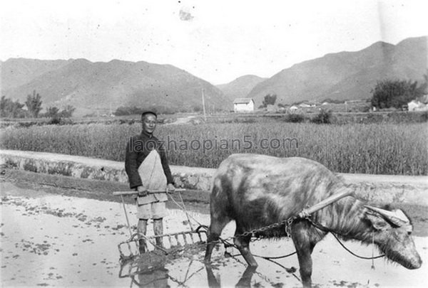 图片[7]-Old photos of Hakka people’s life in Jiaoling, Guangdong in 1920-30s-China Archive