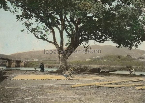 图片[7]-1924 Old photos of Hangzhou, Zhejiang Street View of Hangzhou West Lake-China Archive