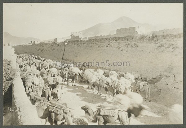 图片[6]-In 1925, the old photo of Dangar Ancient City in Huangyuan, Qinghai, used to be the capital of tea and horse merchants-China Archive