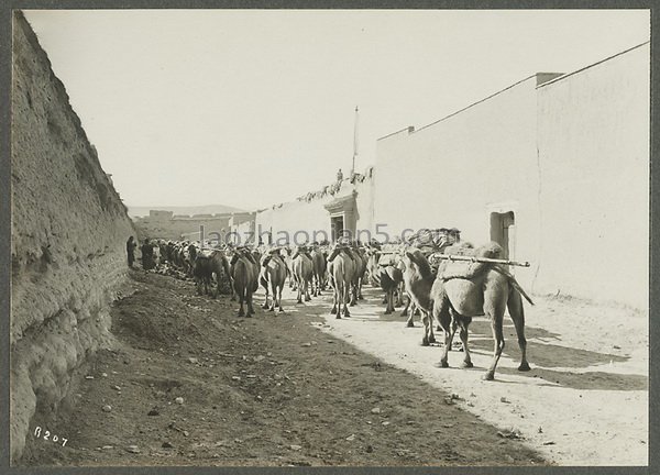 图片[8]-In 1925, the old photo of Dangar Ancient City in Huangyuan, Qinghai, used to be the capital of tea and horse merchants-China Archive