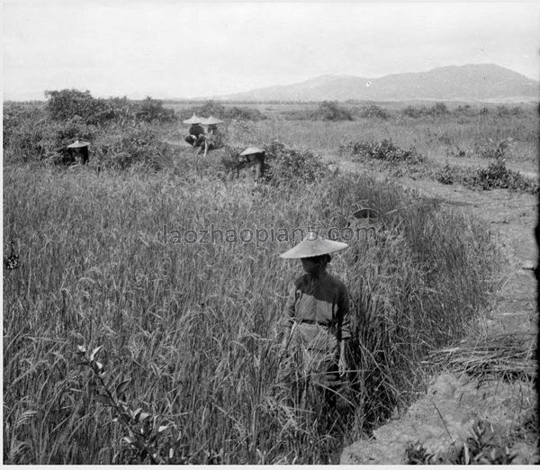 图片[3]-The historical image of Zhongshan 90 years ago in the old photo of Zhongshan County in 1932-China Archive