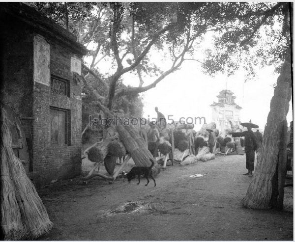 图片[6]-The historical image of Wuchuan 90 years ago in the old photo of Wuchuan County, Guangdong in 1932-China Archive