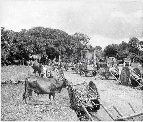 图片[5]-The historical image of Wuchuan 90 years ago in the old photo of Wuchuan County, Guangdong in 1932-China Archive