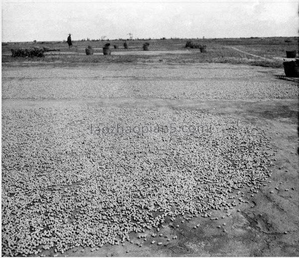 图片[8]-The historical image of Wuchuan 90 years ago in the old photo of Wuchuan County, Guangdong in 1932-China Archive