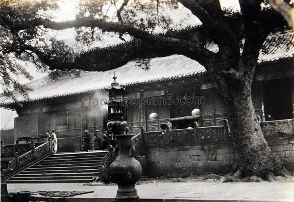 图片[7]-1930 Old photo of Mount Putuo in Zhejiang Province, a Buddhist holy place 100 years ago-China Archive