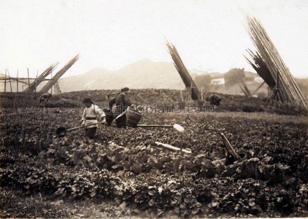 图片[8]-Old Photos of Fuzhou in 1929 The Scenery and Cultural Features of Fuzhou 90 Years ago (Part 2)-China Archive