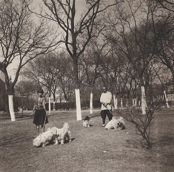 图片[15]-Old photos of Beijing in the winter of 1933-China Archive