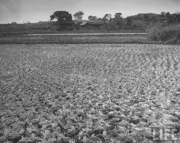 图片[5]-1945 Old photos of Hengyang, Hunan City at the beginning of the victory of the Anti Japanese War-China Archive