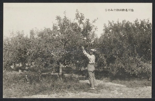 图片[5]-The old photo of Jinzhou, Dalian in the 1930s, “The Book of Painting Leaves on Jinzhou Scenic Spots”-China Archive