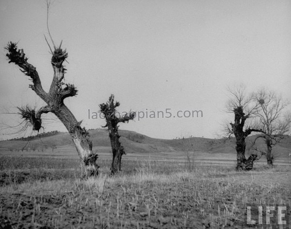 图片[3]-Rural image before the war of 1946 old photos in Benxi, Liaoning-China Archive