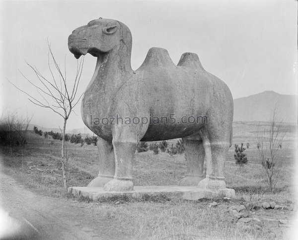 图片[14]-Old photos of Nanjing, Jiangsu, 1917-1919 (IV) by Gan Bo-China Archive