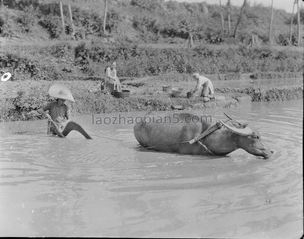 图片[2]-Old photos of Chengdu from 1917 to 1919 (3) Photographed by Gan Bo-China Archive