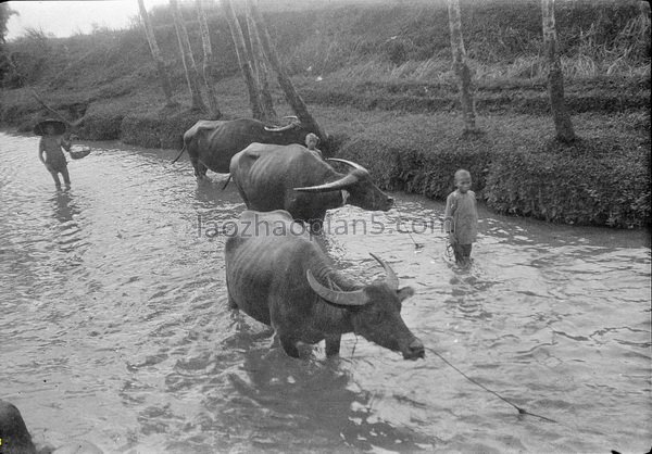 图片[13]-Old photos of Chengdu from 1917 to 1919 (3) Photographed by Gan Bo-China Archive