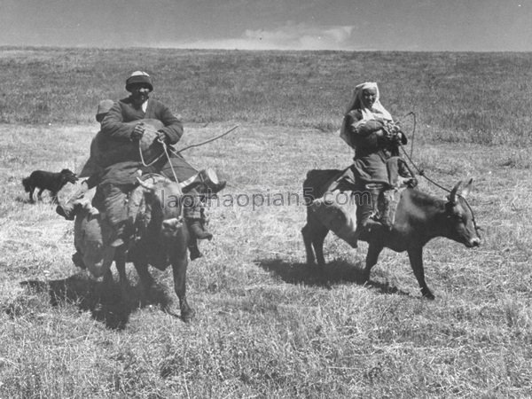 图片[7]-1943 Old Photos of Xinjiang People in Xinjiang (2)-China Archive