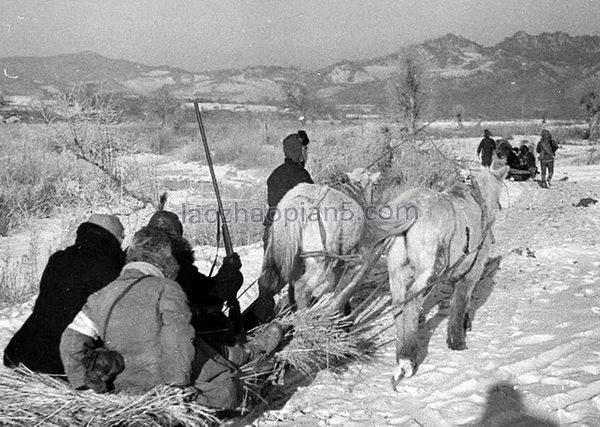 图片[1]-In 1938, the Japanese “Manchu Mongolian Colonial Pioneering Group” hunted in the mountains near Manchuria-China Archive