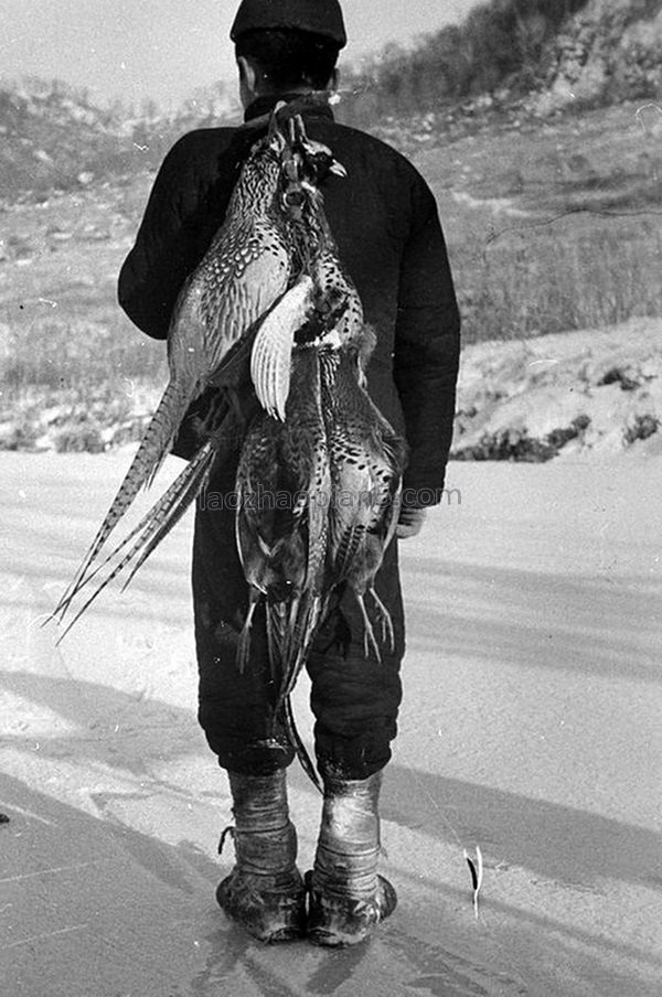 图片[7]-In 1938, the Japanese “Manchu Mongolian Colonial Pioneering Group” hunted in the mountains near Manchuria-China Archive