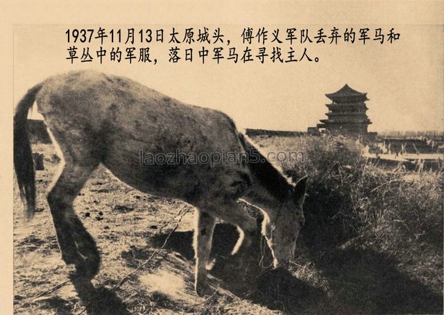 图片[10]-Photo album of the Japanese army’s capture of Taiyuan, Shanxi in 1937-China Archive