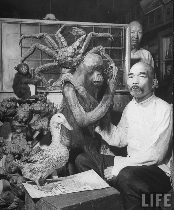 图片[6]-1946 Old photos of Shanghai, dealers in traditional Chinese medicine shops in the Republic of China-China Archive