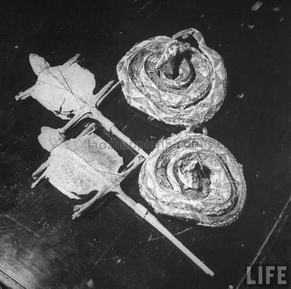 图片[9]-1946 Old photos of Shanghai, dealers in traditional Chinese medicine shops in the Republic of China-China Archive