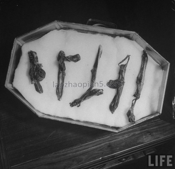 图片[8]-1946 Old photos of Shanghai, dealers in traditional Chinese medicine shops in the Republic of China-China Archive